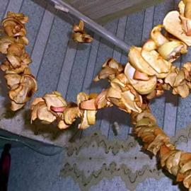 Сушка яблок в газовой духовке на зиму: правила, советы, рецепты Антоновка на зиму рецепты сушка
